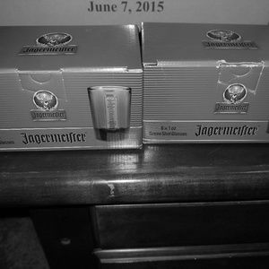 Jagermeister shot glasses NIB